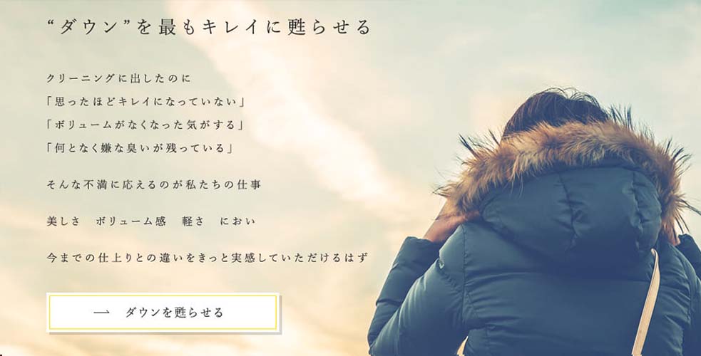 キレイナ 復元術